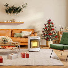 Load image into Gallery viewer, 4.2KW Small Portable Gas Heater Cabinets Indoor Space Heaters Living and Home