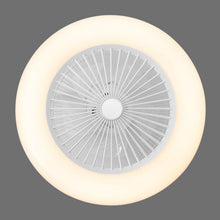 Load image into Gallery viewer, Dia. 55cm Ceiling Fan w/75W LED Light Adjustable 3-Wind Speed Remote Control Ceiling Light Living and Home