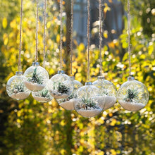 Load image into Gallery viewer, 5 Pack Glass Ornament Balls for Christmas Tree Decor Living and Home
