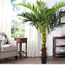 Load image into Gallery viewer, Artificial Palm Tree Fake Greenery Decoration for Home, PM0626
