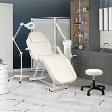Load image into Gallery viewer, 178cm L Adjustable Beauty Bed Salon Chair Set with Stool Salon Chairs Living and Home