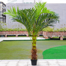 Load image into Gallery viewer, Artificial Palm Tree Fake Greenery Decoration for Home, PM0626