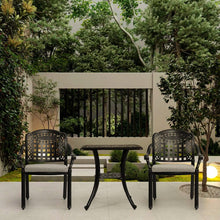 Load image into Gallery viewer, Set of 2 Outdoor Dining Chairs with Cushions Cast Aluminum Garden Seating Living and Home