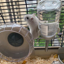 Load image into Gallery viewer, Crystal View Hamster Cage with Silent Exercise Wheel & Accessories Living and Home