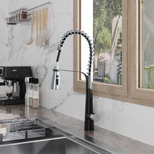 Load image into Gallery viewer, Modern Stainless Kitchen Sink Faucet