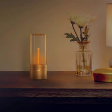 Load image into Gallery viewer, Lightsin Portable Rechargeable LED Candlelight Atmosphere Lamp Table Lamp Lightsin
