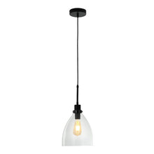 Load image into Gallery viewer, Modern Style Glass Single Light Pendant Light Pendant Lights Living and Home