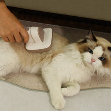 Load image into Gallery viewer, 3.2L Pet Grooming Vacuum Kit with 6 Tools Pet Grooming Living and Home