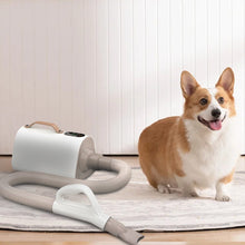 Load image into Gallery viewer, 4 IN 1 Pet Grooming Dryer Handheld Blaster Pet Dryer Living and Home