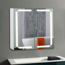 Load image into Gallery viewer, Double Door Smart LED Bathroom Mirror Cabinet with Anti Fog Bathroom Mirror Cabinets Living and Home