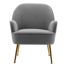 Load image into Gallery viewer, Leisure Velvet Armchair with Gold-plated Metal Legs Other Occasional Chairs Living and Home