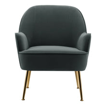 Load image into Gallery viewer, Leisure Velvet Armchair with Gold-plated Metal Legs Other Occasional Chairs Living and Home