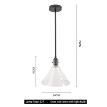 Load image into Gallery viewer, Matte Black 1-Light Pendant with Clear Glass Lampshade Pendant Lights Living and Home