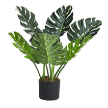 Load image into Gallery viewer, 65cm Artificial Tropical Monstera Tree Faux Plant in Pot