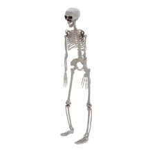 Load image into Gallery viewer, Poseable Skeleton Props for Halloween Party Decoration Halloween Living and Home