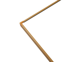 Load image into Gallery viewer, Modern Slim Frame Full Length Mirror