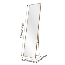 Load image into Gallery viewer, Modern Slim Frame Full Length Mirror