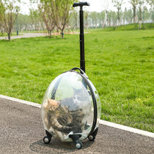 Load image into Gallery viewer, Transparent White Pet Travel Trolley Suitcase Living and Home
