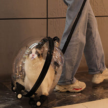 Load image into Gallery viewer, Transparent White Pet Travel Trolley Suitcase Living and Home