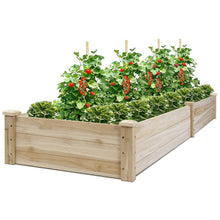 Load image into Gallery viewer, Garden Rectangular Wood Bed Flower Vegetable Plant Seeds Bed