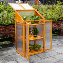 Load image into Gallery viewer, Garden Wooden Polycarbonate Plant Growhouse