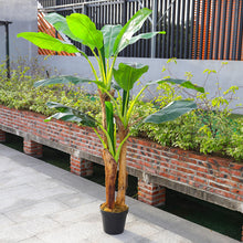Load image into Gallery viewer, Lifelike Banana Artificial Tree 3 Trunk in Black Planter