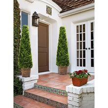 Load image into Gallery viewer, Outdoor Artificial Topiary Trees