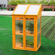 Load image into Gallery viewer, Garden Wooden Polycarbonate Plant Growhouse