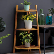 Load image into Gallery viewer, 3-Tier Modern Corner Ladder Shelf for Plant Display