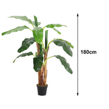 Load image into Gallery viewer, Lifelike Banana Artificial Tree 3 Trunk in Black Planter