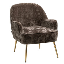 Load image into Gallery viewer, Comfy Velvet Upholstered Living Room Armchair with Gold Legs