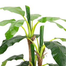 Load image into Gallery viewer, Lifelike Banana Artificial Tree 3 Trunk in Black Planter