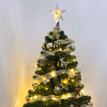 Load image into Gallery viewer, Decorative Star Sequins Christmas Tree Topper with LED Lights, CD0164