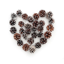 Load image into Gallery viewer, Livingandhome 30 Pieces Real Pine Cone Dyed with White Paint Christmas Tree Hanging Ornament Set, CD0370