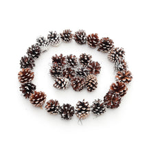 Load image into Gallery viewer, Livingandhome 30 Pieces Real Pine Cone Dyed with White Paint Christmas Tree Hanging Ornament Set, CD0370