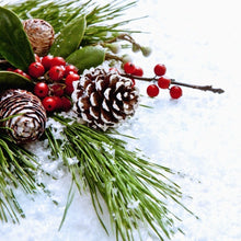 Load image into Gallery viewer, Livingandhome 30 Pieces Real Pine Cone Dyed with White Paint Christmas Tree Hanging Ornament Set, CD0370