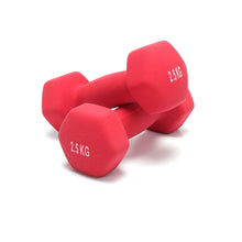 Load image into Gallery viewer, Set Of 2 Neoprene Coated Dumbbell Hand Weight Strength Training