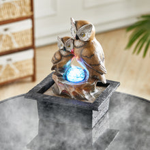 Load image into Gallery viewer, Owl Electric Resin Water Feature Fountain LED Ball