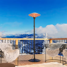 Load image into Gallery viewer, 1500W Freestanding Electric Patio Heater Patio Warmer