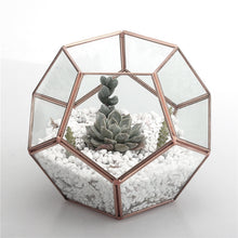 Load image into Gallery viewer, Geometric Terrarium Plant Glass Container