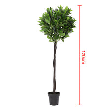 Load image into Gallery viewer, Large Artificial Potted Topiary Laurel Tree