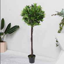 Load image into Gallery viewer, Large Artificial Potted Topiary Laurel Tree