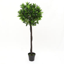 Load image into Gallery viewer, Large Artificial Potted Topiary Laurel Tree