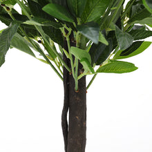 Load image into Gallery viewer, Large Artificial Potted Topiary Laurel Tree