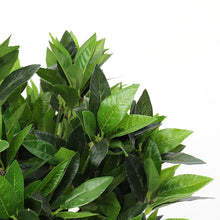 Load image into Gallery viewer, Large Artificial Potted Topiary Laurel Tree
