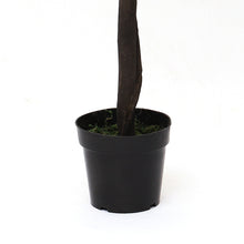 Load image into Gallery viewer, Large Artificial Potted Topiary Laurel Tree