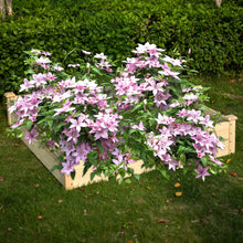 Load image into Gallery viewer, Square Wooden Raised Garden Bed