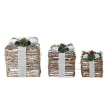 Load image into Gallery viewer, 3 Piece Gift Boxed Christmas Decoration Lighted Display Set