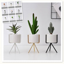Load image into Gallery viewer, Garden Geometric Plant Stand Ceramic Pot Succulent Flower Iron Cross Low Rack Holder