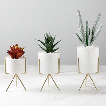 Load image into Gallery viewer, Garden Geometric Plant Stand Ceramic Pot Succulent Flower Iron Cross Low Rack Holder